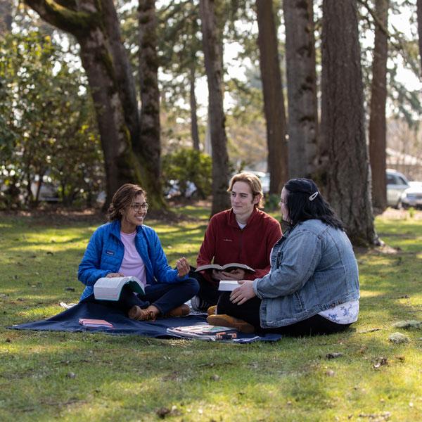 three students sit and study outside